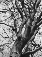 20240602-Tweakersmeet-133