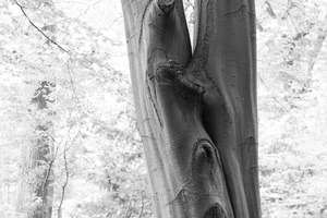 20240602-Tweakersmeet-134