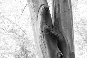 20240602-Tweakersmeet-135