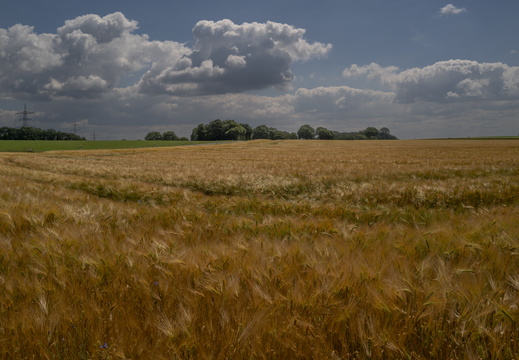 20240608-Twente-106