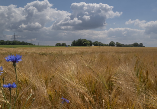 20240608-Twente-108