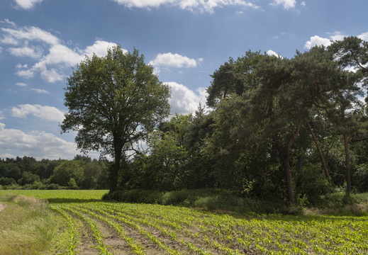 20240608-Twente-127