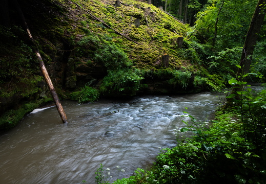 20240619-Mullertall-101