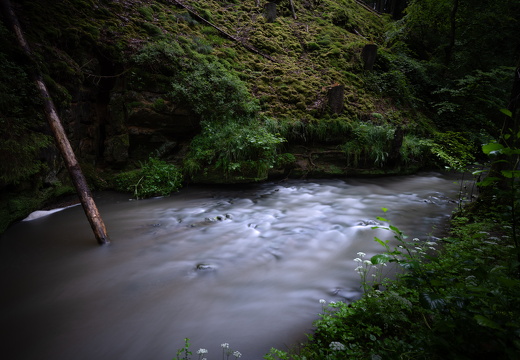 20240619-Mullertall-103