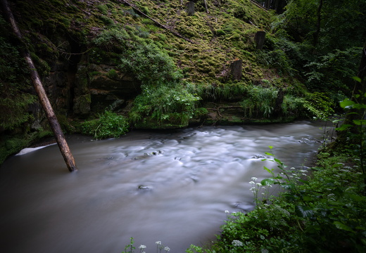 20240619-Mullertall-104