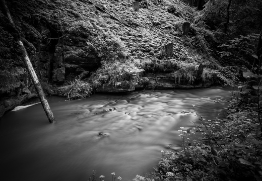 20240619-Mullertall-105