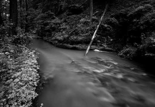 20240619-Mullertall-107