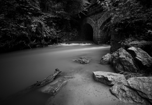 20240619-Mullertall-110