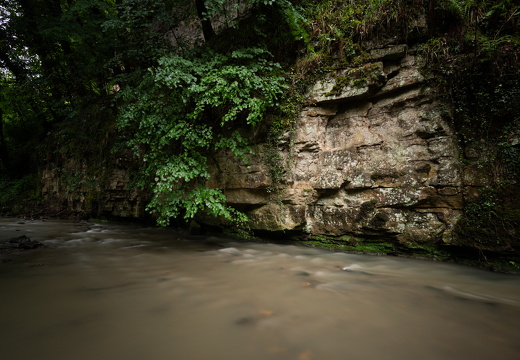 20240619-Mullertall-112