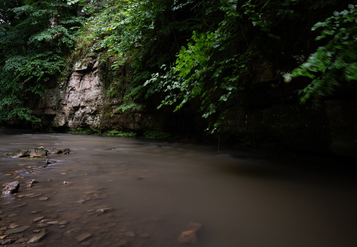 20240619-Mullertall-113