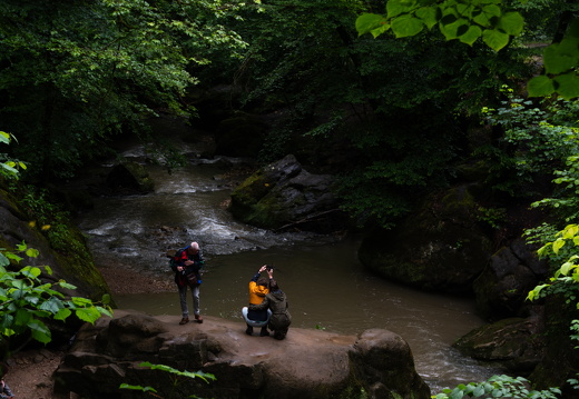 20240619-Mullertall-115