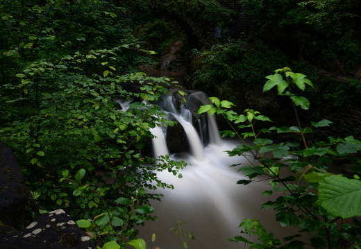 20240619-Mullertall-117