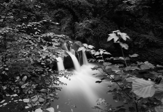 20240619-Mullertall-118