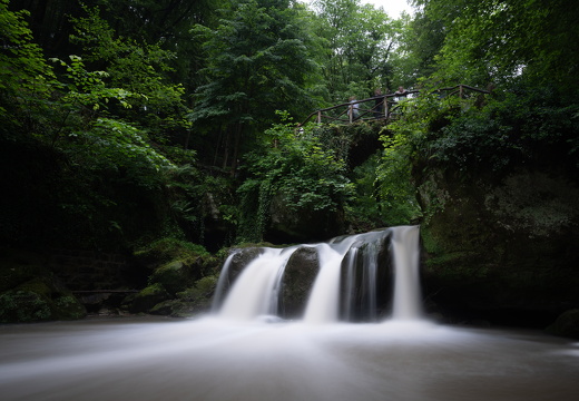 20240619-Mullertall-119