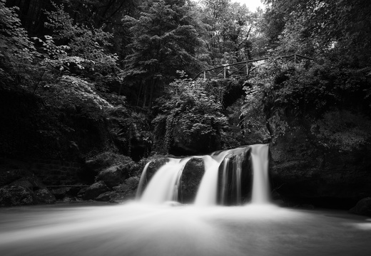 20240619-Mullertall-120