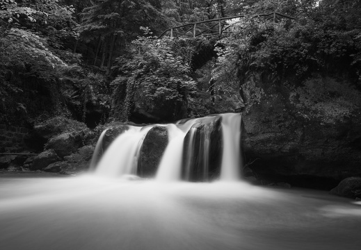 20240619-Mullertall-121