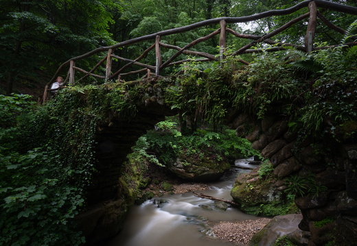 20240619-Mullertall-122