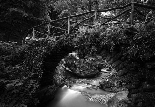 20240619-Mullertall-123