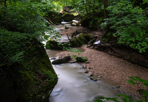 20240619-Mullertall-125