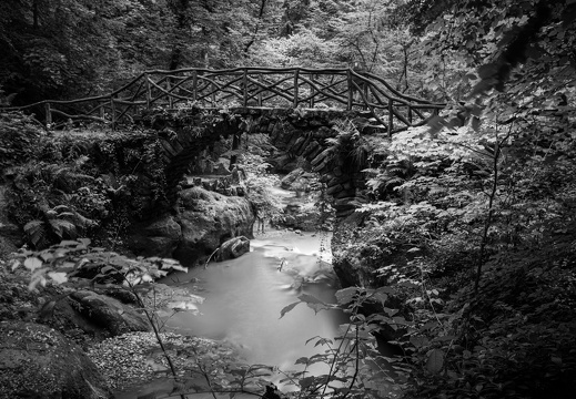 20240619-Mullertall-126