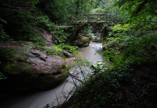 20240619-Mullertall-127