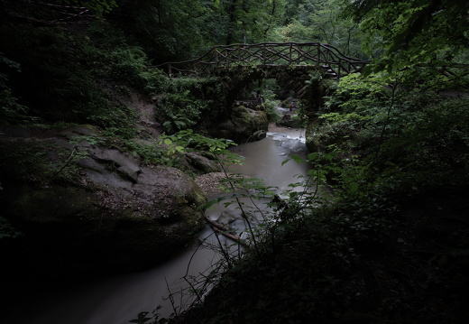 20240619-Mullertall-128