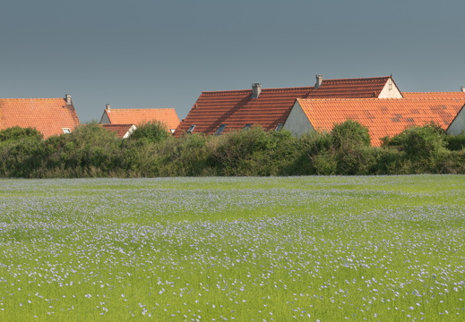 20240624-Escalles-163