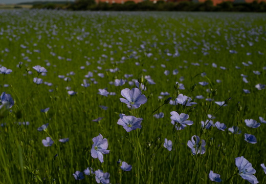 20240624-Escalles-164