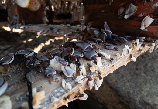 20240624-Escalles-177