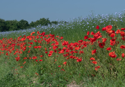 20240624-Escalles-207