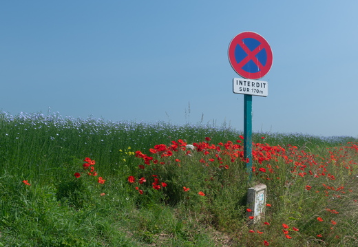 20240624-Escalles-208