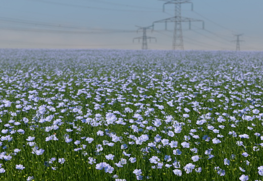 20240624-Escalles-209