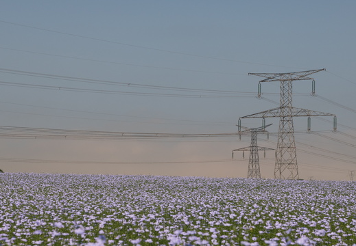 20240624-Escalles-210