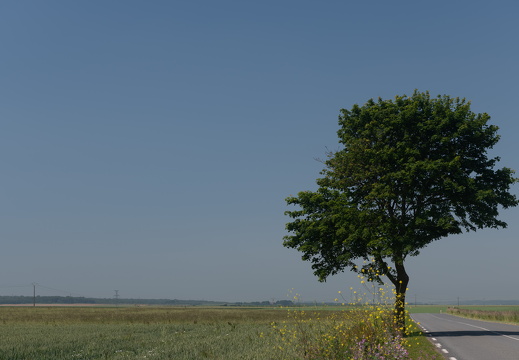 20240624-Escalles-212