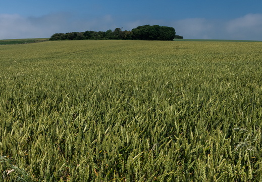 20240624-Escalles-217