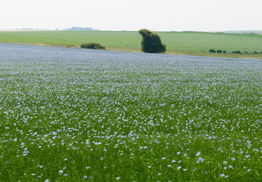 20240624-Escalles-218