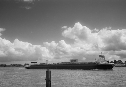 20240611-GSW690-Delta100-Lek-101