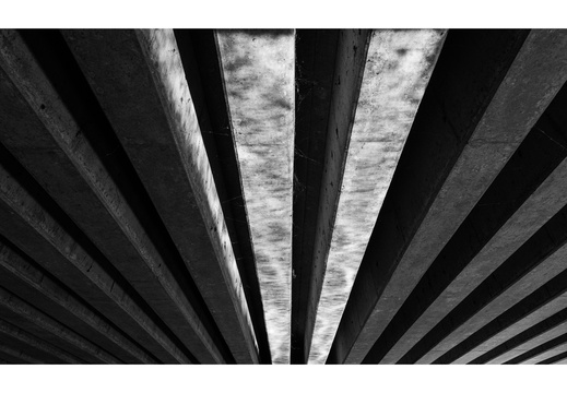 20240810-Fietsen-109