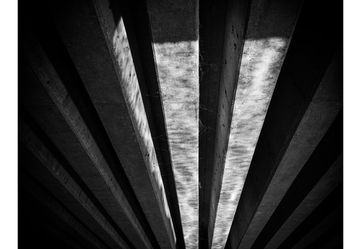 20240810-Fietsen-110