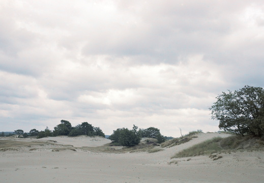 20240824-GSW690-Porta160-Kootwijkerzand-103
