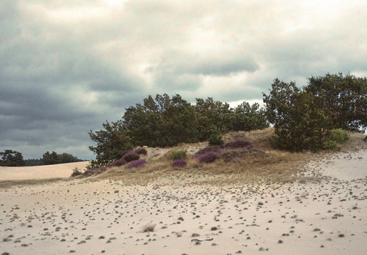 20240824-GSW690-Porta160-Kootwijkerzand-104