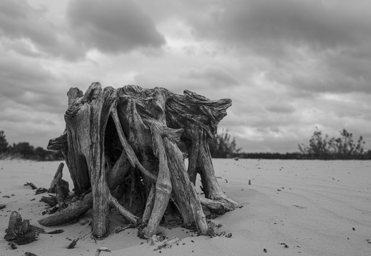 20240824-Kootwijkerzand-301