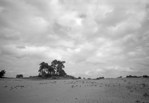 20240824-PanF-M4-21mm-Kootwijkerzand104
