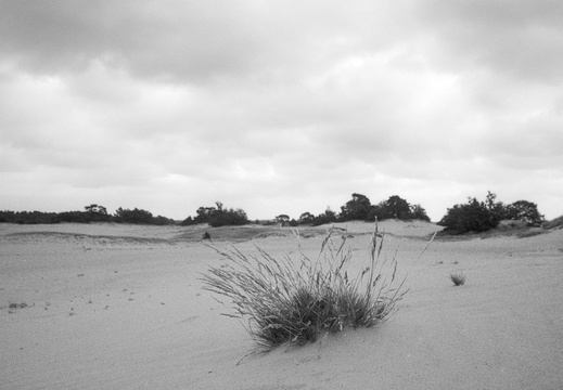 20240824-PanF-M4-21mm-Kootwijkerzand121