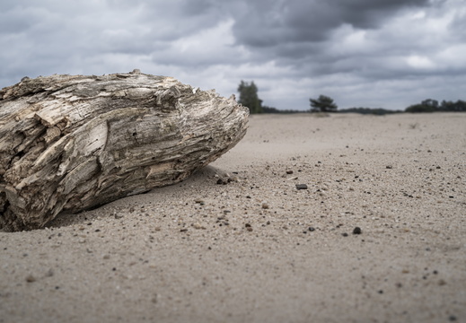 20240824-Q2-Kootwijkerzand-101