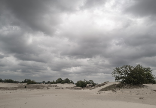 20240824-Q2-Kootwijkerzand-102