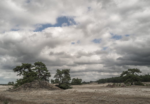 20240824-Q2-Kootwijkerzand-109
