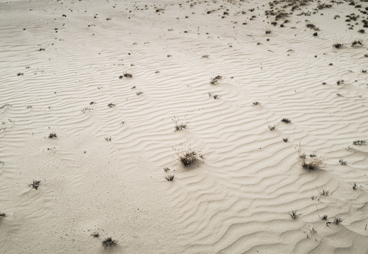 20240824-Q2-Kootwijkerzand-117