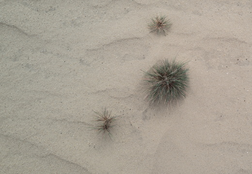 20240824-Q2-Kootwijkerzand-118