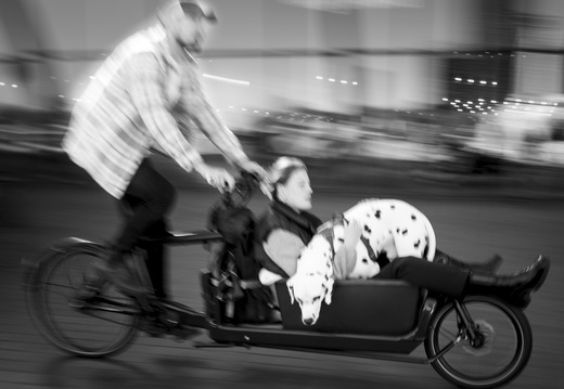 20241005-Amsterdam-145
